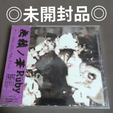 Ruby 루비 무뢰노하나