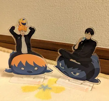 하이큐 아크릴 스탠드 점페스 히나타 쇼요 카게야마 토비오