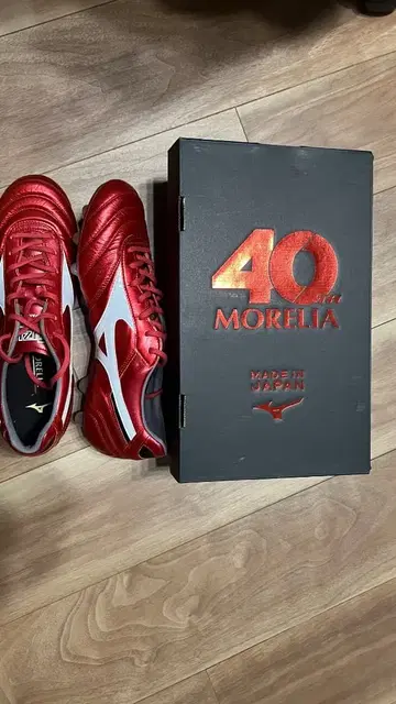 Mizuno Morelia 2 Japan 27cm