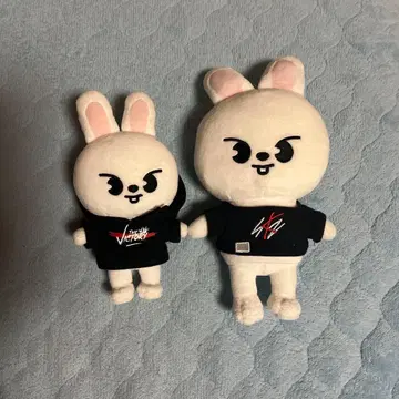 straykids 리노 리빗 Leeknow