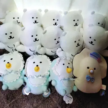 새상품 택 포함 나가노 곰 츠부라나 히토미노 나마가키 봉제 인형 14개
