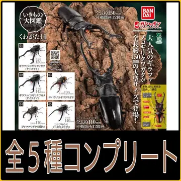 [새상품] 생물대도감 장수풍뎅이11 전종 컴플리트