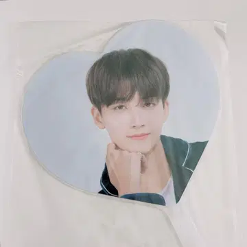 세븐틴 정한 부채 캐럿랜드