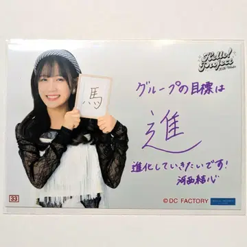 코레샤 카사이 유신 하로콘 2026 겨울 하로 츠바키 팩토리