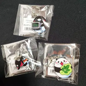 선착순 테이코 펭귄 팬더와 범고래와 펭귄 아크릴 키링