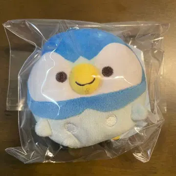 팽도리 포켓몬 꽉찬 팽도리