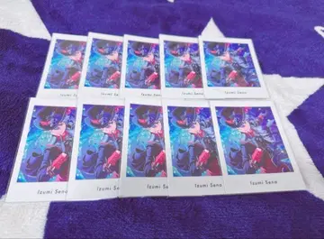 세나 이즈미 파샤츠