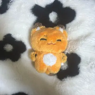 ZB1 ZEROBASEONE 제베원 마슈 메튜 우우 봉제 인형