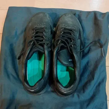 MIZUNO 포인트 스파이크 24cm