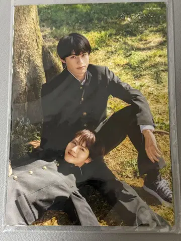 드라마 너에게는 닿지 않아. 프로마이드 세트 마에다 켄타로 카시와기 유우