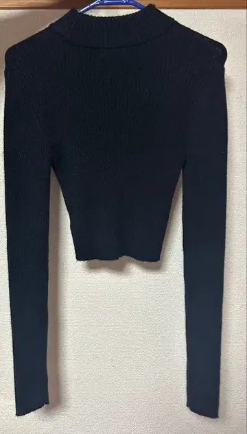 INGNI 썸홀 숏 기장 리브 니트