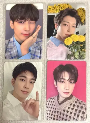 SEVENTEEN 원우 과거 트레이딩 카드