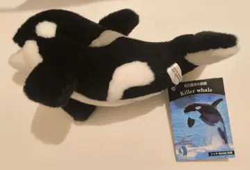 나고야항 수족관 한정판 범고래(암컷) 봉제 인형 약 30cm