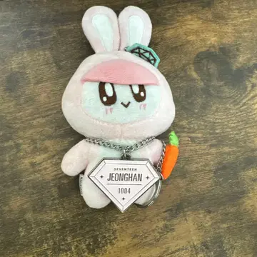 SEVENTEEN 봉봉이 정한