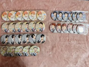 하이큐 히나타 아카아시 이와이즈미 쿠로오 보쿠토 텐도 요리미치 캔뱃지