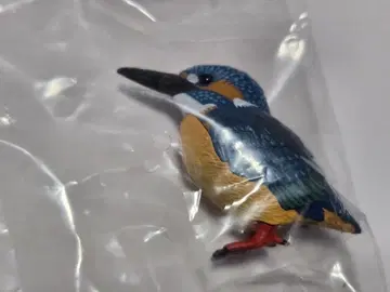 네이처 테크니컬러 일본의 생물 물총새 이키몬