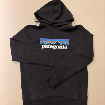 patagonia 로고 업라이저 후디 M