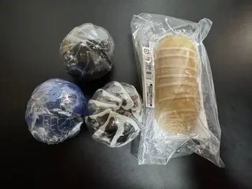 생물대도감 쥐며느리 가샤폰판 검정 파랑 제브라 온라인판 흰색