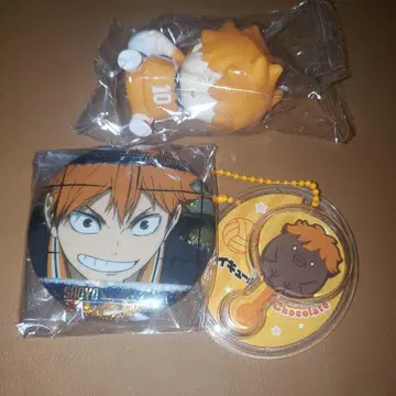 하이큐 히나타 묶음 판매