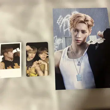 ALD1 아르노 euphoria 트레이딩 카드 플라이어 세트