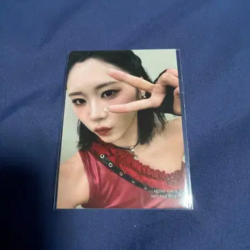 사사키 코코나 메자마시 라이브 브로마이드