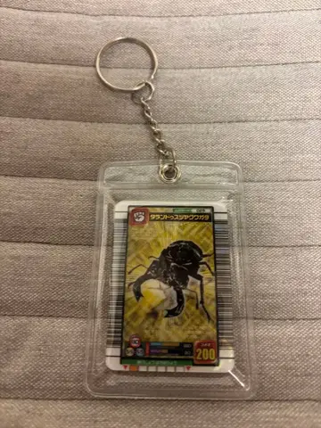 무시킹 미니어처 카드 아크릴 타란두스 광택사슴벌레