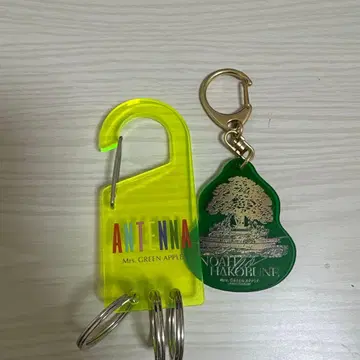 Mrs. GREEN APPLE 키링 세트