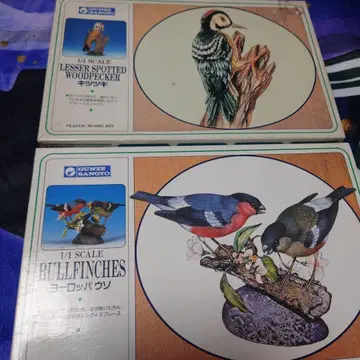 군제 산업 1/1 스케일 키츠츠키 유럽 울새 프라모델