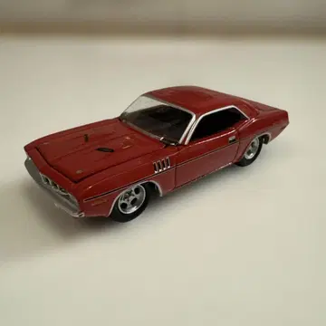 GREENLIGHT 플리마켓 장미 바라쿠다