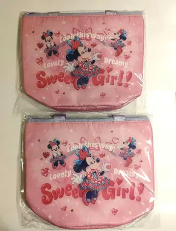 미니의 판타지랜드 수베니어 런치 케이스 2개