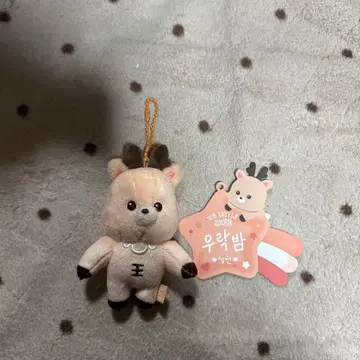 RIIZE 라이즈 키링 성찬