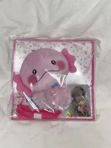 사토 타이쥬 우파고로 파스케이스