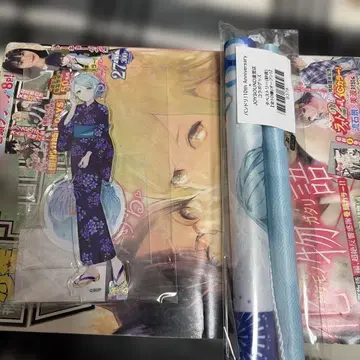 히카와 사요 JOYSOUND 한정판 미니 태피스트리 아크릴 스탠드