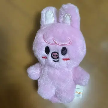 스키즈 skzoo 10cm 돼끼 창빈