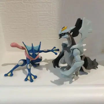 희귀 레어 포켓몬 게코우가 블랙큐렘 피규어 몽콜 당시물