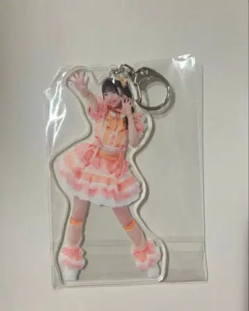 iLiFE! 코구마 마무 아크릴 키링 무도관 가라폰 2점 세트