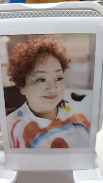 마리코 버터플라이 폴라로이드