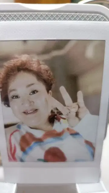 마리코 버터플라이 폴라로이드