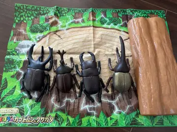 카에챠 oh!! 마법의 장수풍뎅이 & 사슴벌레