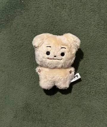 ENHYPEN 제이크 봉제 인형 10cm 마스터