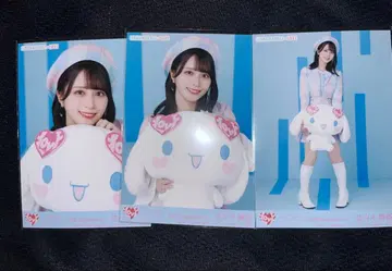 이코러브 시나모롤 2025 시나몬 사사키 마이카 컴프 브로마이드