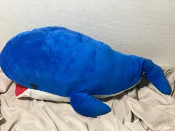 파란 고래 봉제 인형( _______ )