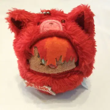 파라라이 타피누이 료가