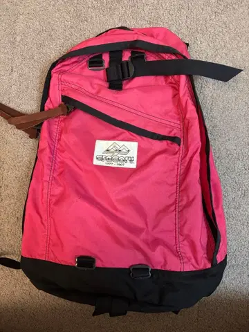 GREGORY 그레고리 데이팩 30주년 한정판 USA제 구 택