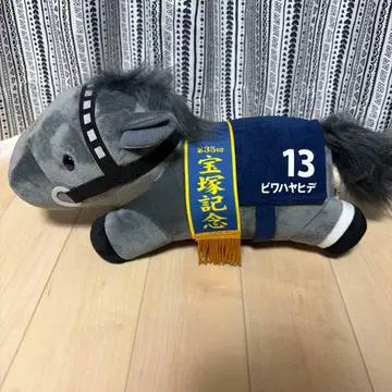 다카라즈카 기념 비와하야히데