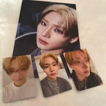 ald1 산원 타워 레코드 특전 세트 플라이어 트레이딩 카드 럭키 드로우