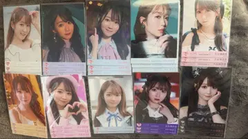 이코라부 오타니 에미리 브로마이드 컴프 묶음 판매