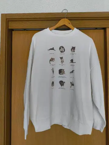 kotoka izumi chopi 맨투맨