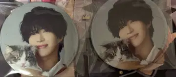 스토푸리 사토미 캔뱃지 실사 원맨