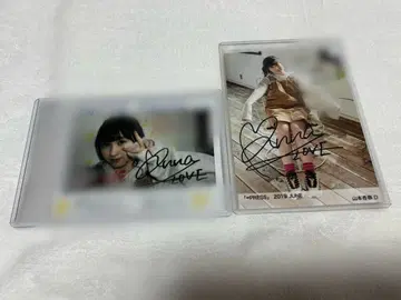 이코러브 야마모토 안나 친필